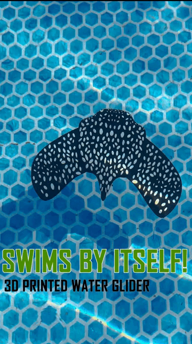 Self-Swimming Stingray Pool Glider – 3D Printed Water Toy